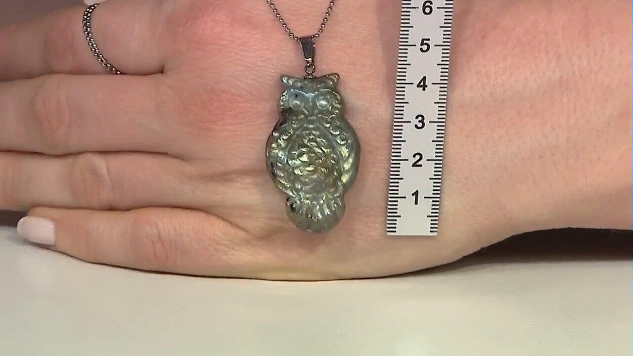 Laatste live aanbiedingen bekijken