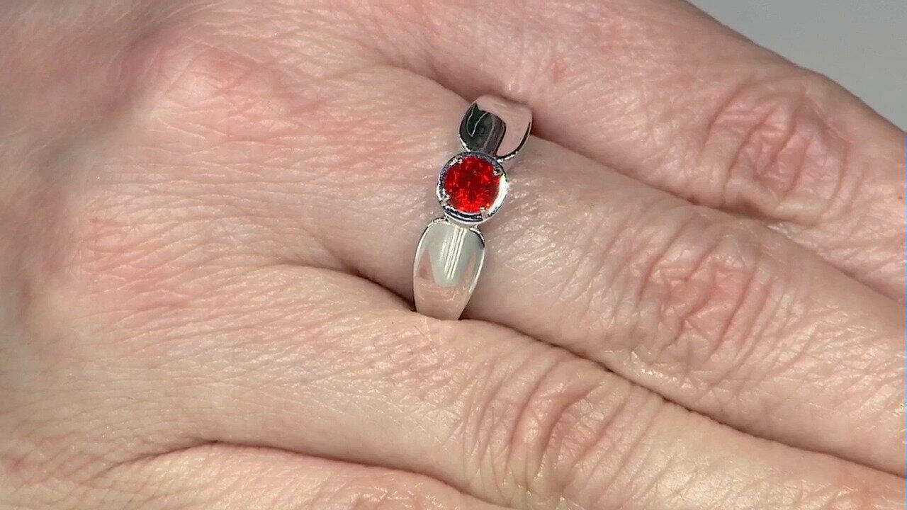 Letzte TV-Show ansehen