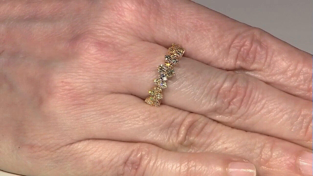 Letzte TV-Show ansehen