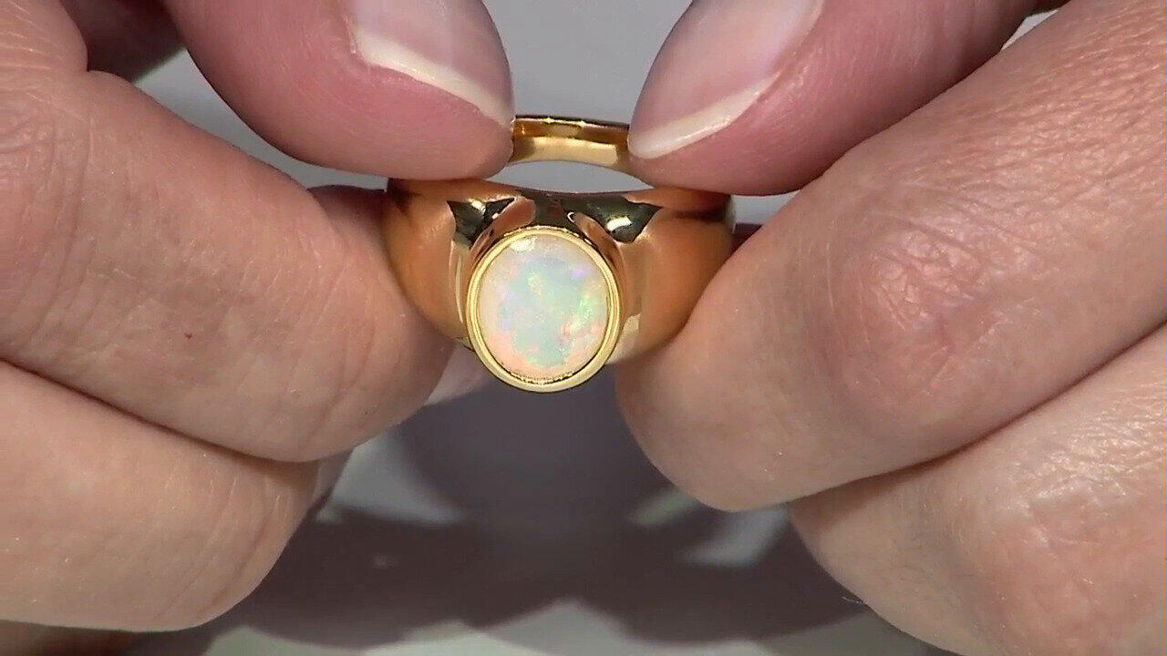 Letzte TV-Show ansehen