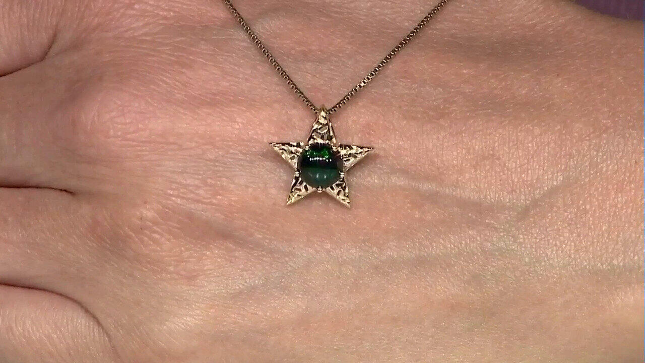 Letzte TV-Show ansehen