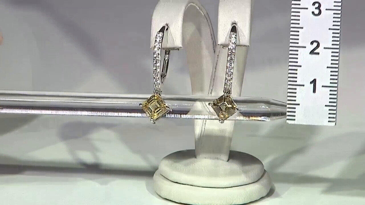 Letzte TV-Show ansehen