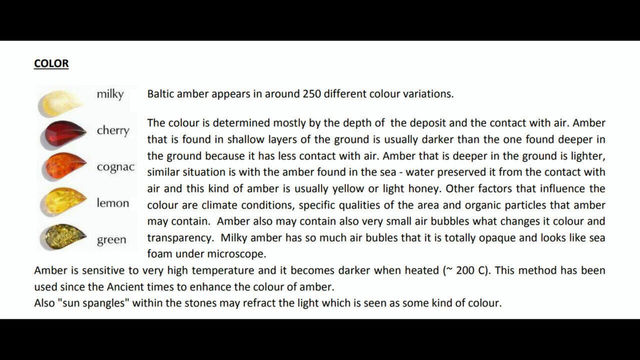 Letzte TV-Show ansehen