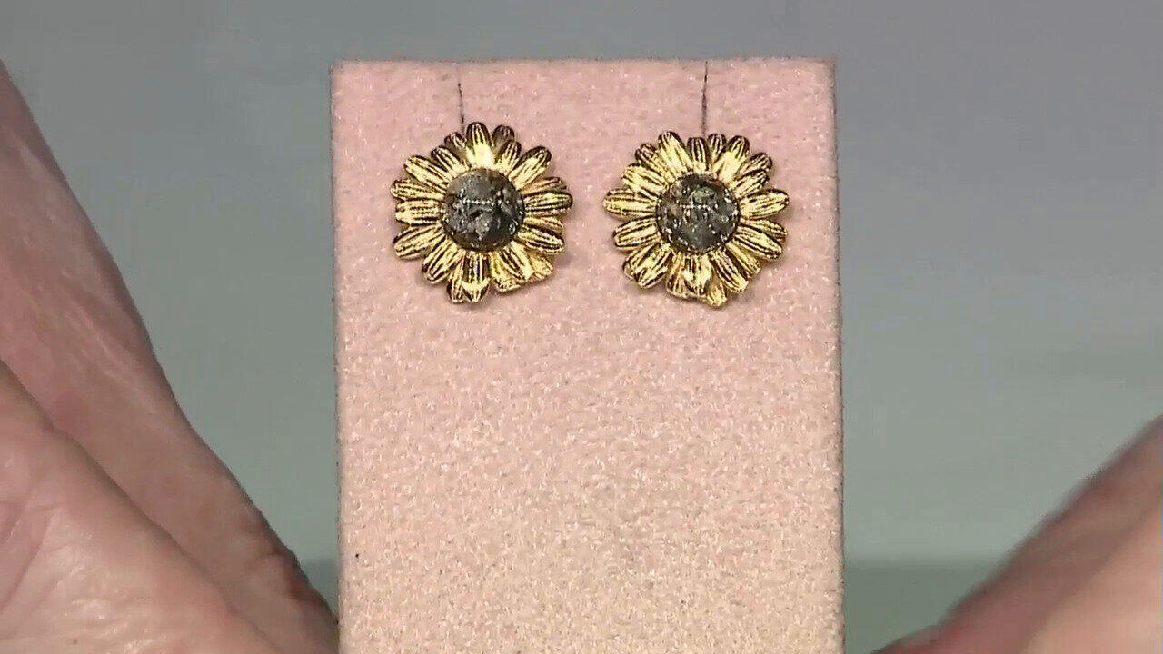 Ver última TV oferta