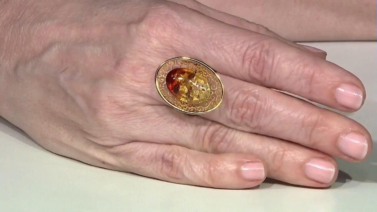 Letzte TV-Show ansehen