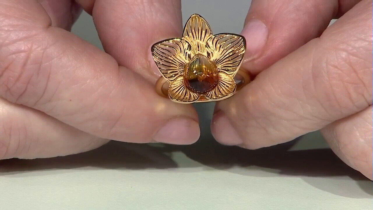 Letzte TV-Show ansehen