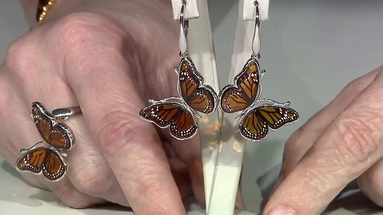 Letzte TV-Show ansehen