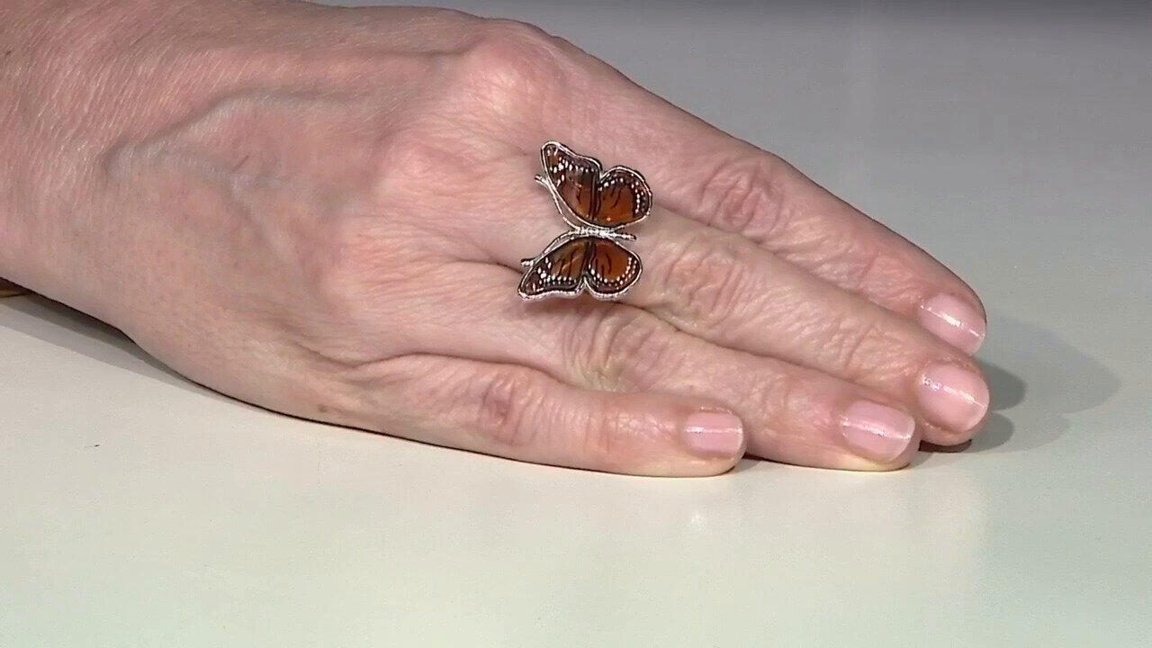 Letzte TV-Show ansehen