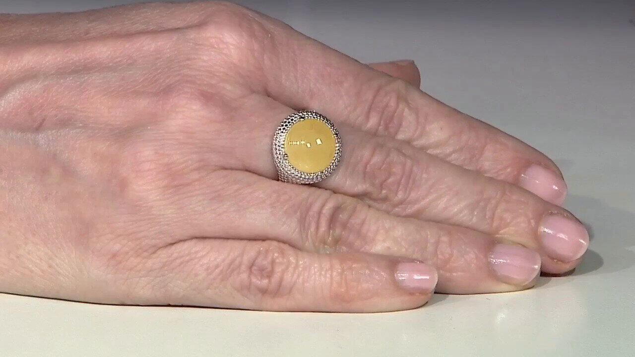 Letzte TV-Show ansehen