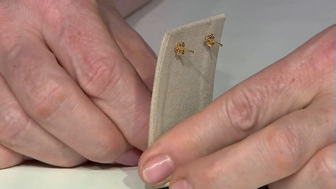 Letzte TV-Show ansehen