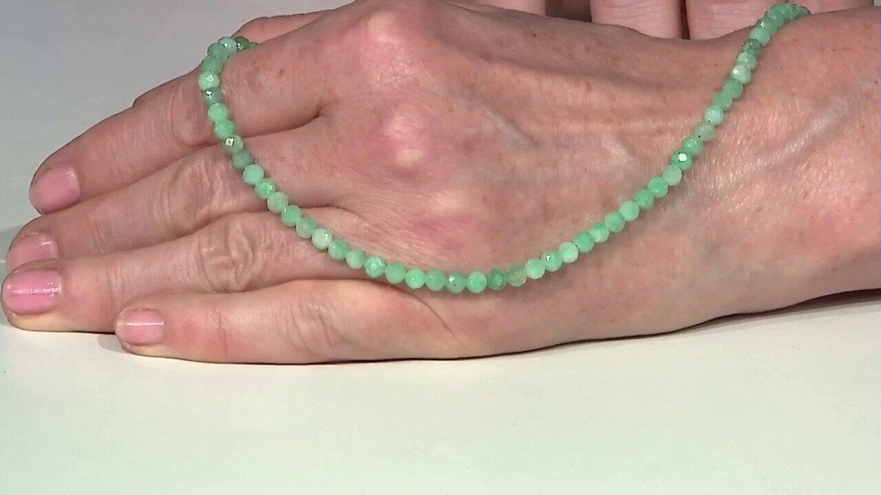 Letzte TV-Show ansehen