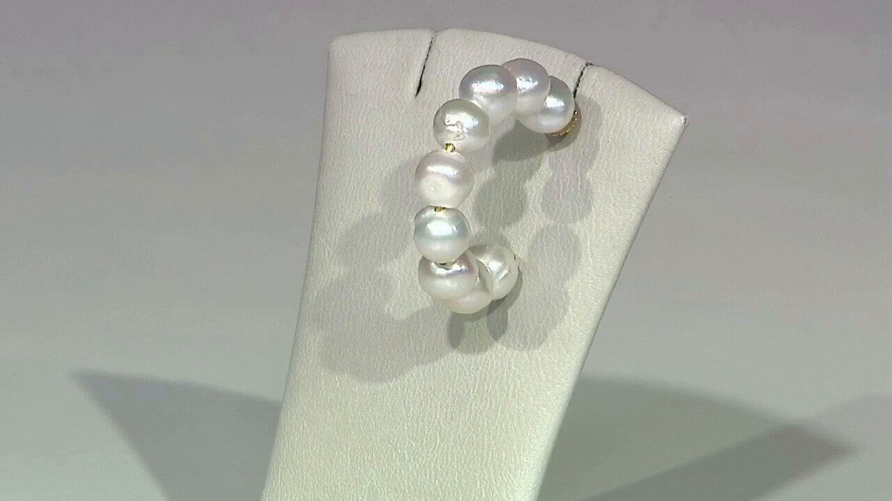 Letzte TV-Show ansehen