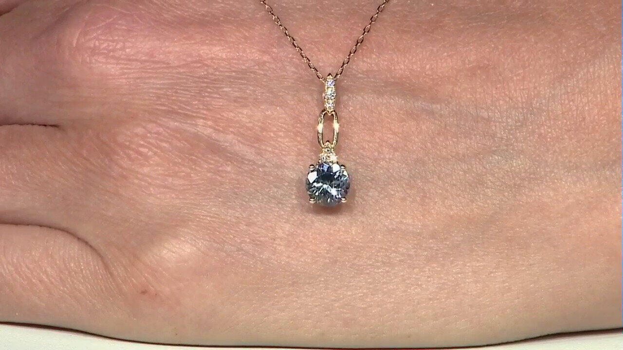 Laatste live aanbiedingen bekijken