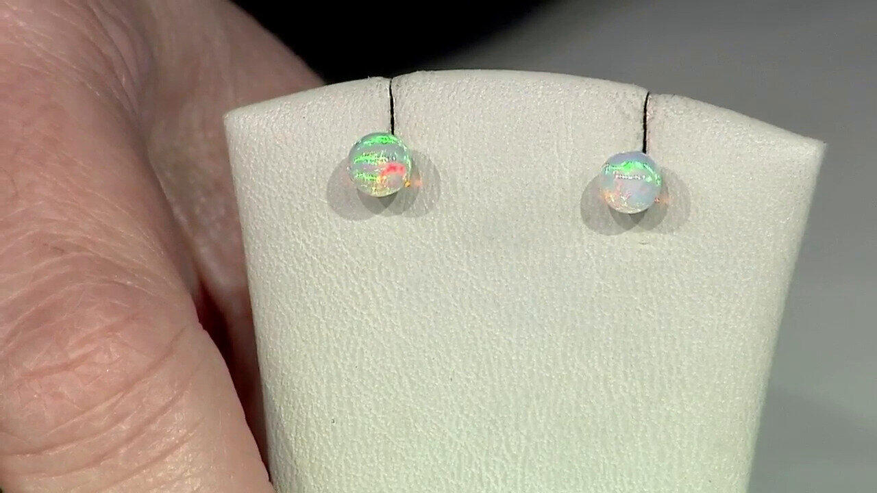 Laatste live aanbiedingen bekijken