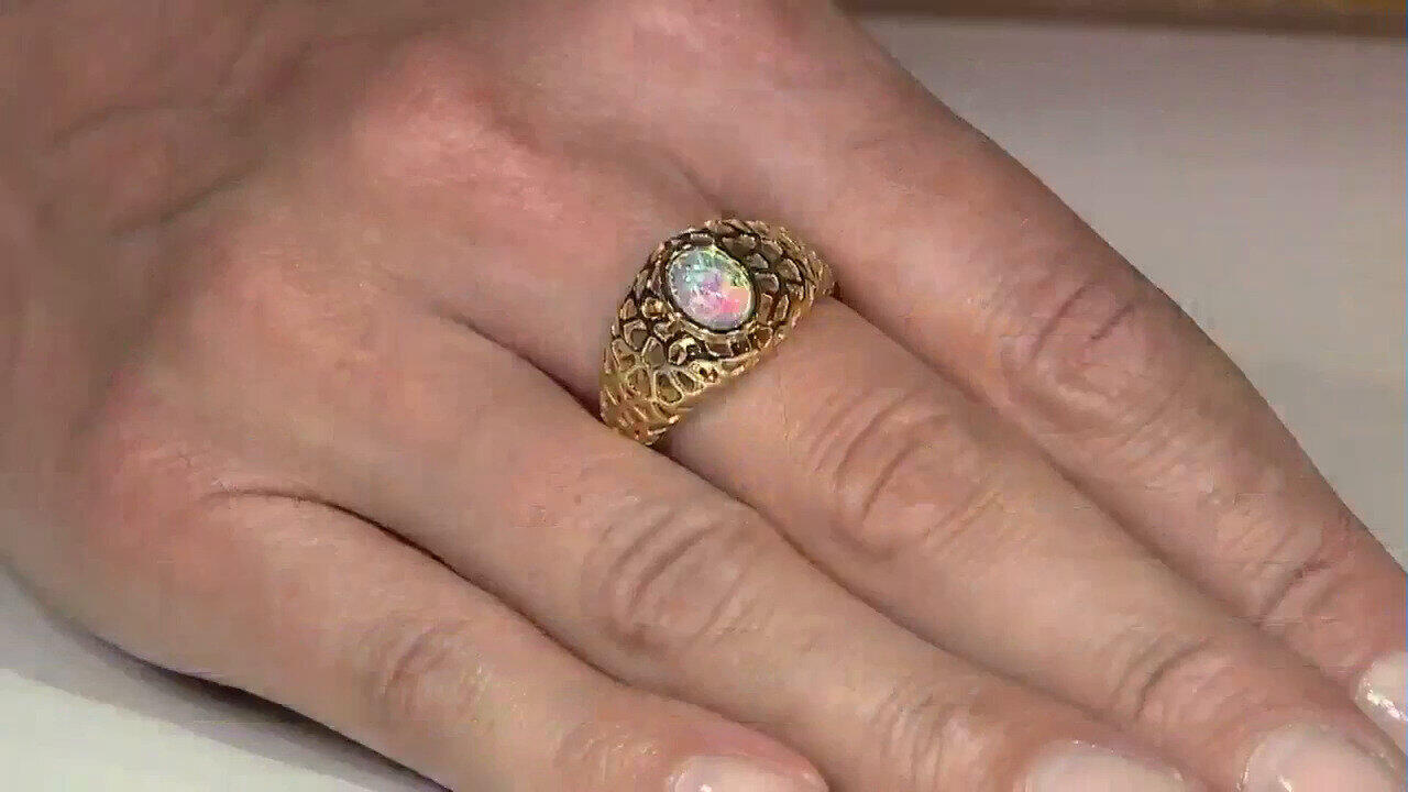 Letzte TV-Show ansehen