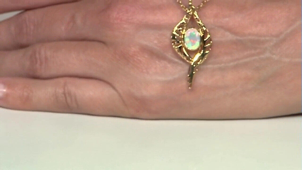 Ver última TV oferta