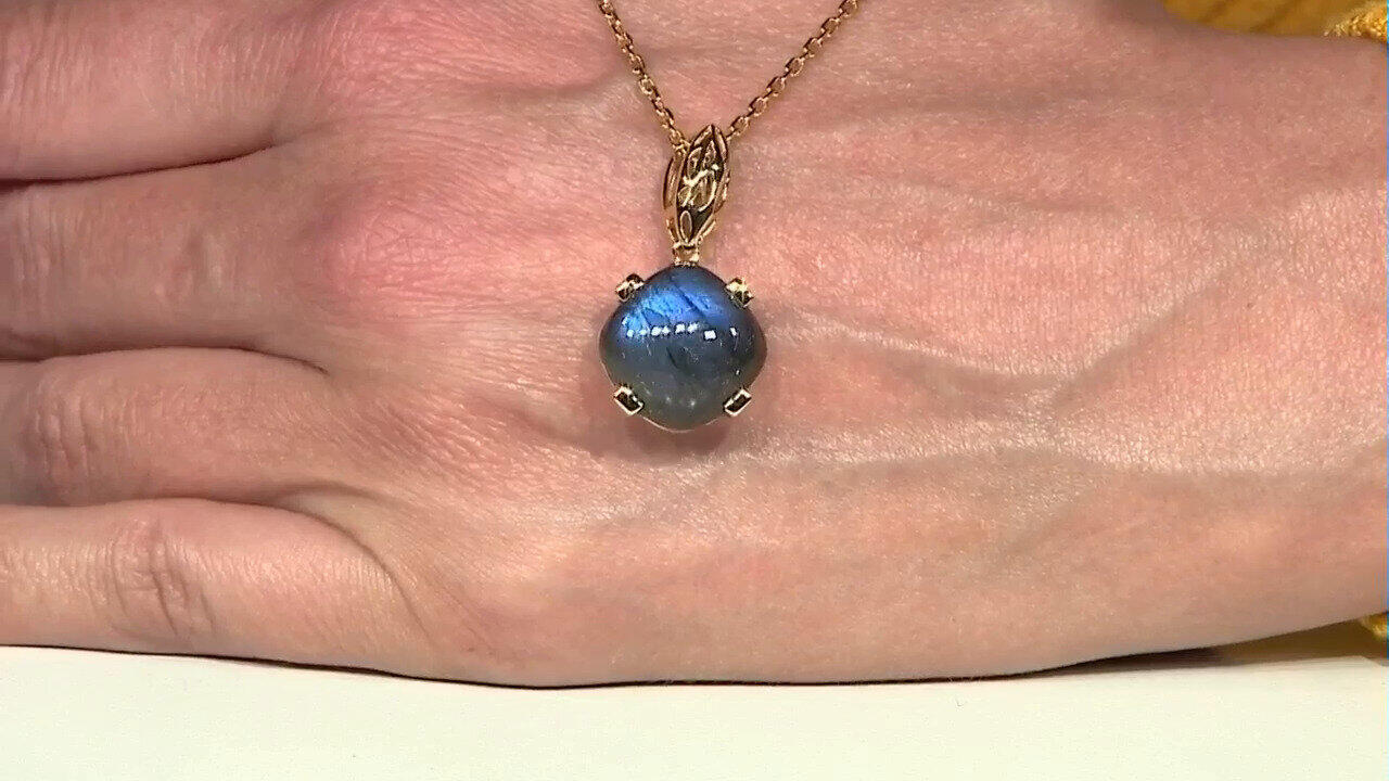 Letzte TV-Show ansehen