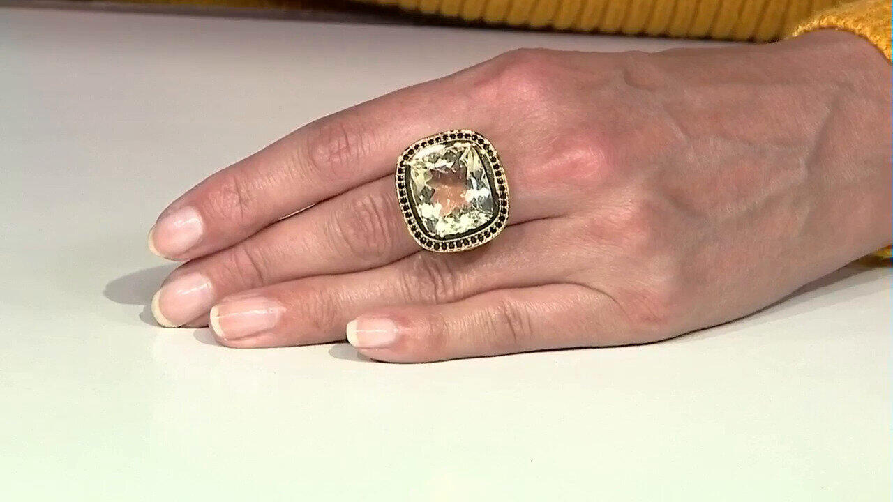 Letzte TV-Show ansehen