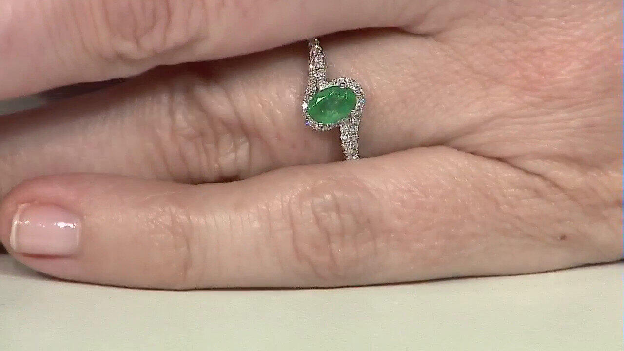 Letzte TV-Show ansehen