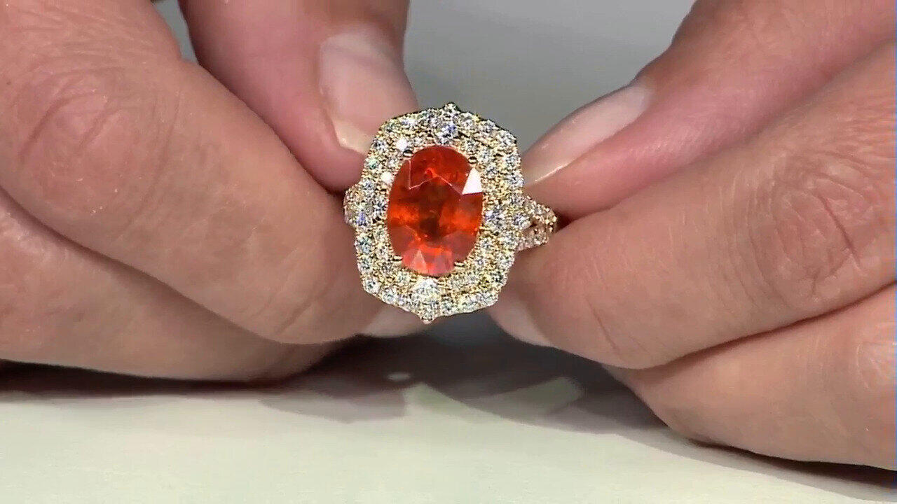 Letzte TV-Show ansehen