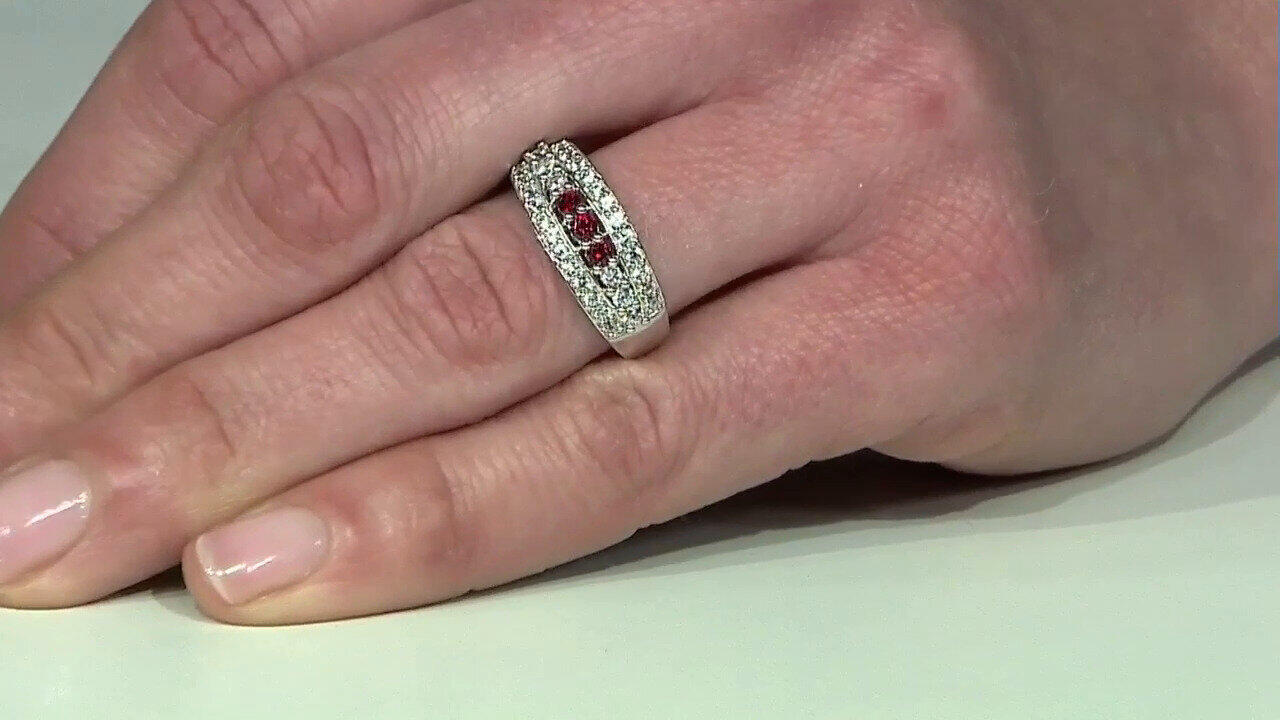 Letzte TV-Show ansehen