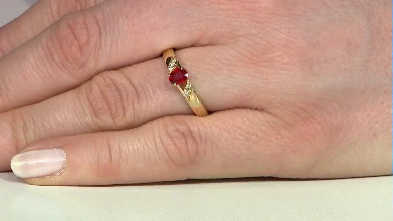 Letzte TV-Show ansehen