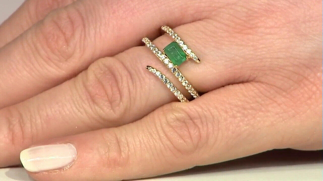 Letzte TV-Show ansehen