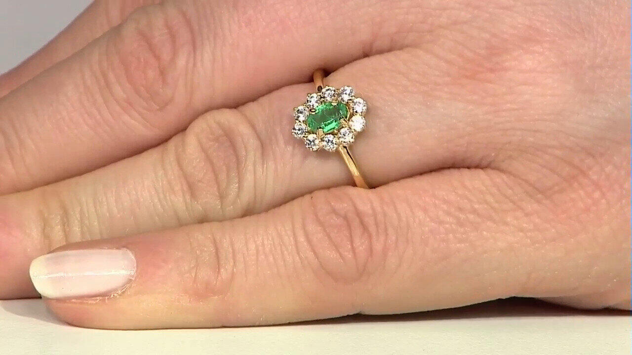 Letzte TV-Show ansehen