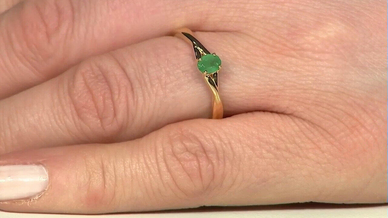 Letzte TV-Show ansehen