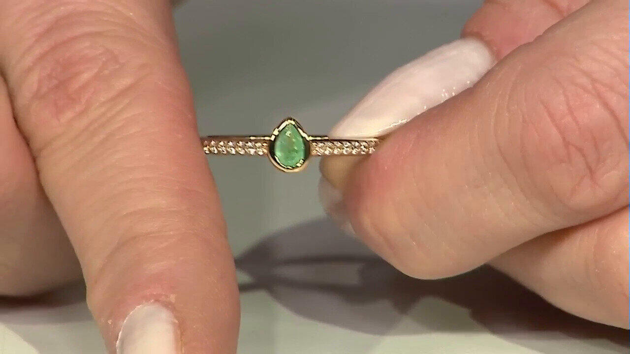 Letzte TV-Show ansehen