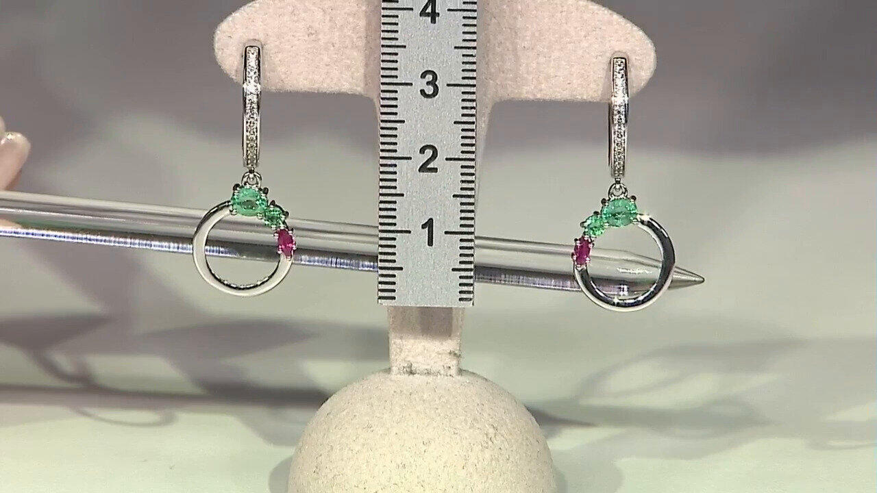 Letzte TV-Show ansehen