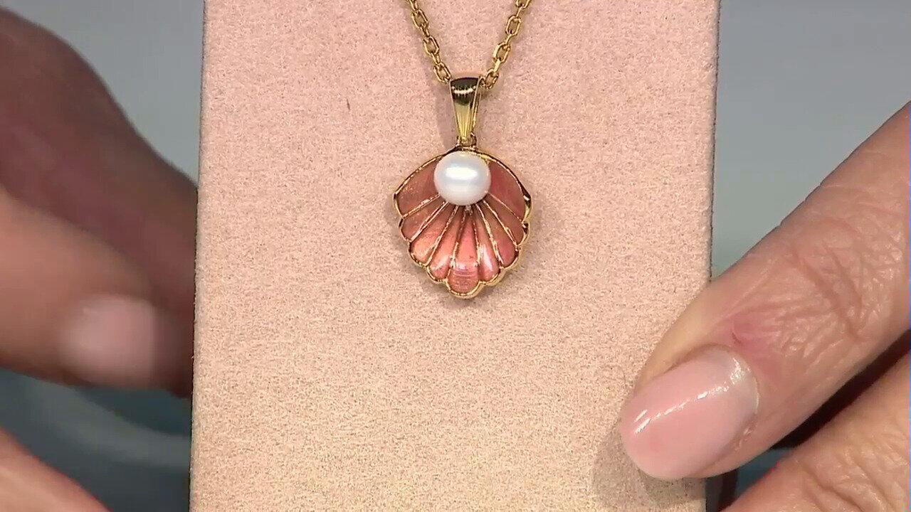 Letzte TV-Show ansehen