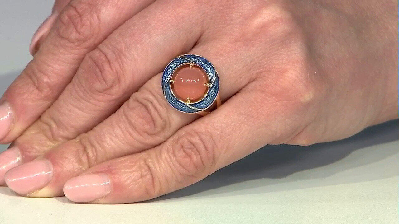 Laatste live aanbiedingen bekijken