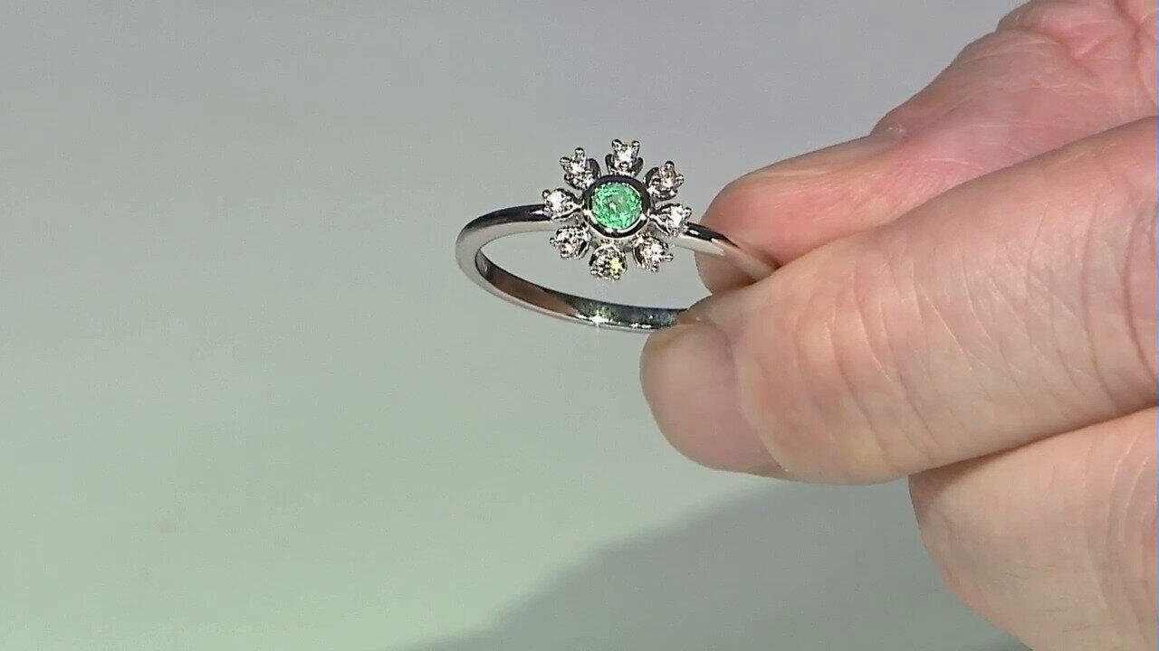 Letzte TV-Show ansehen