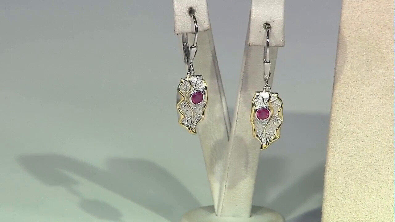 Letzte TV-Show ansehen