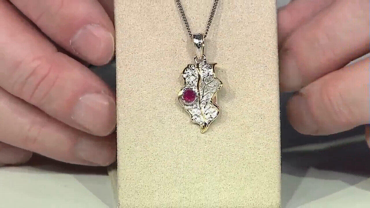 Letzte TV-Show ansehen