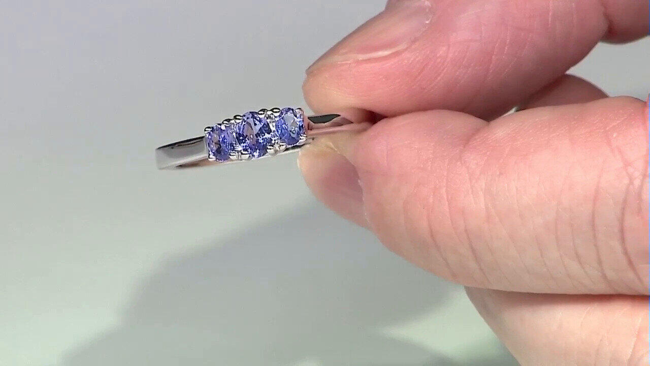 Letzte TV-Show ansehen