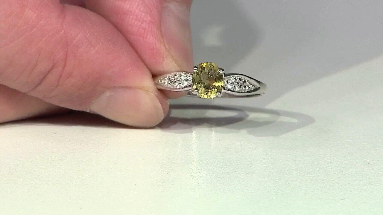 Letzte TV-Show ansehen