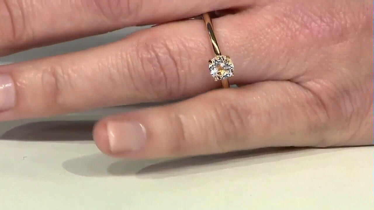 Letzte TV-Show ansehen