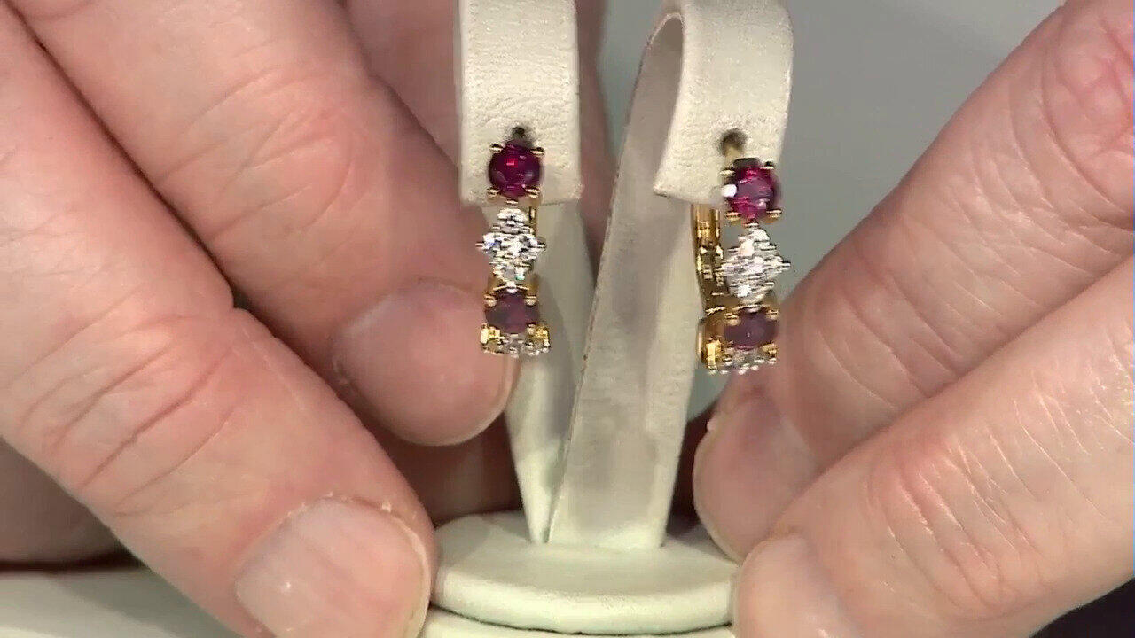 Ver última TV oferta