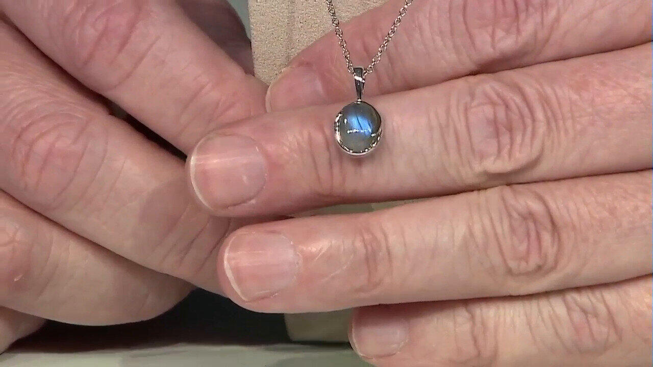 Laatste live aanbiedingen bekijken