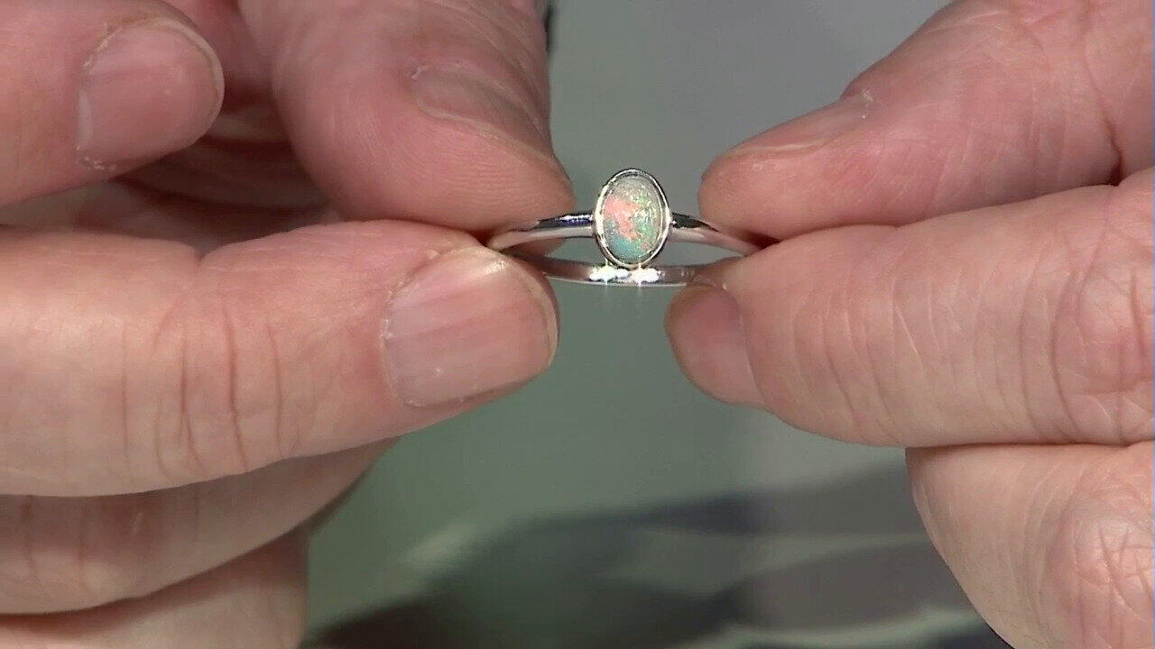 Letzte TV-Show ansehen