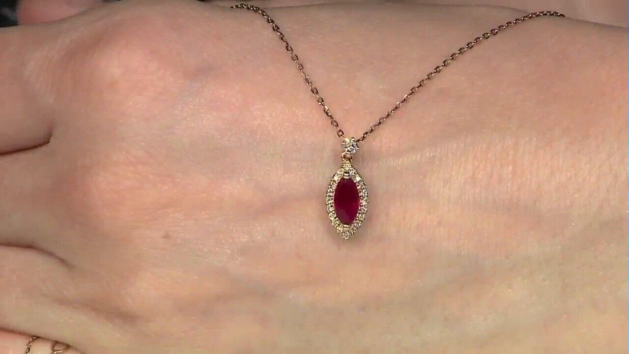 Letzte TV-Show ansehen