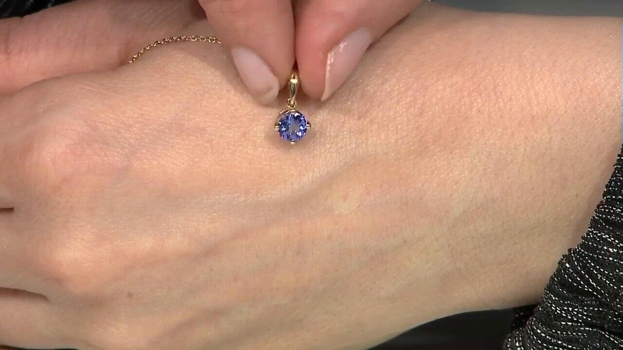 Letzte TV-Show ansehen