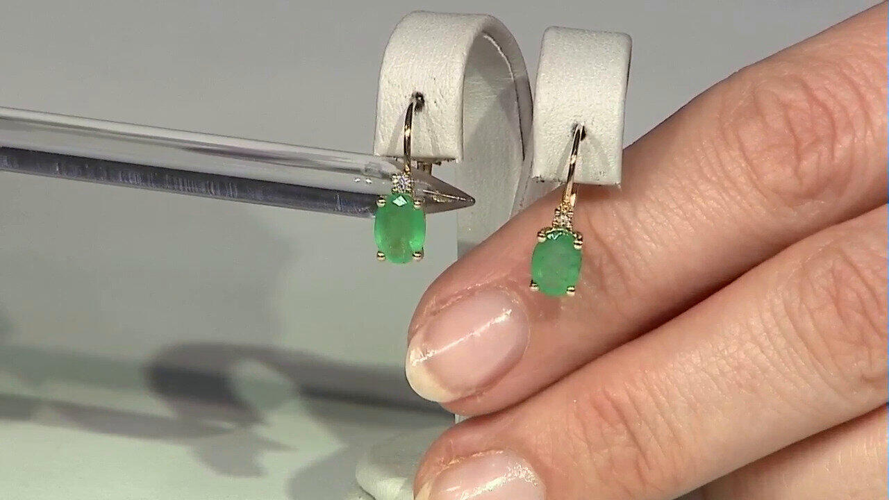 Letzte TV-Show ansehen