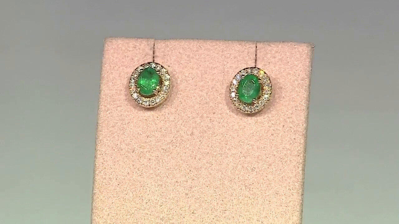 Laatste live aanbiedingen bekijken