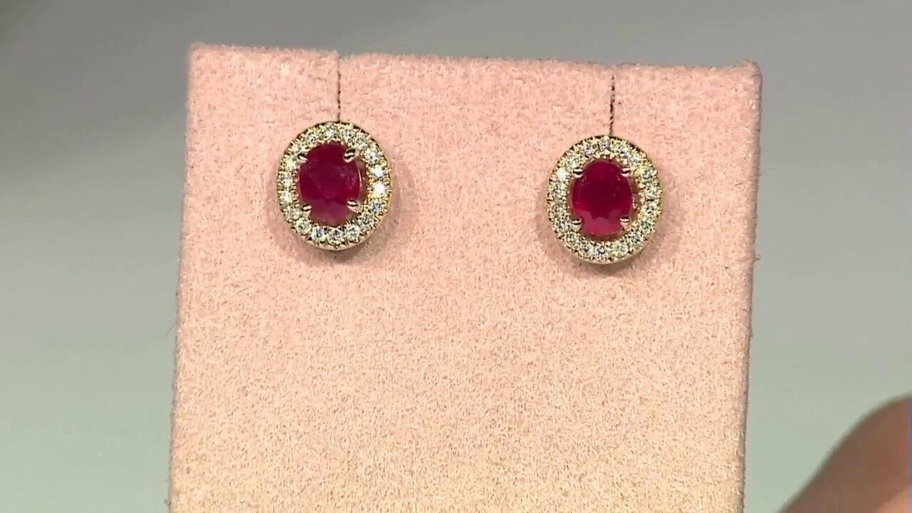 Ver última TV oferta