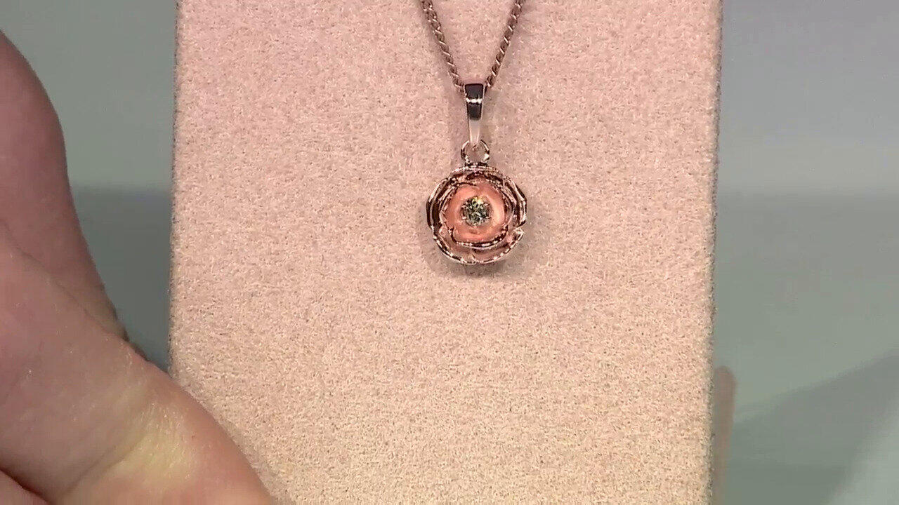 Letzte TV-Show ansehen