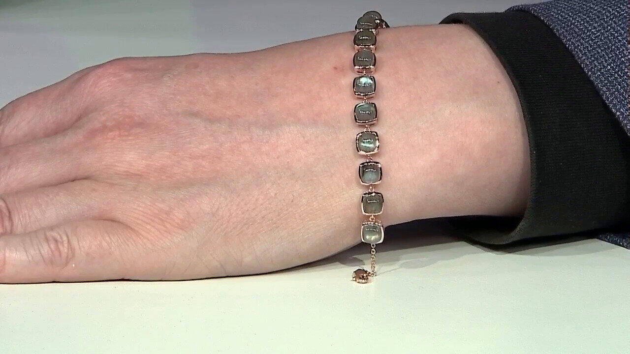 Laatste live aanbiedingen bekijken