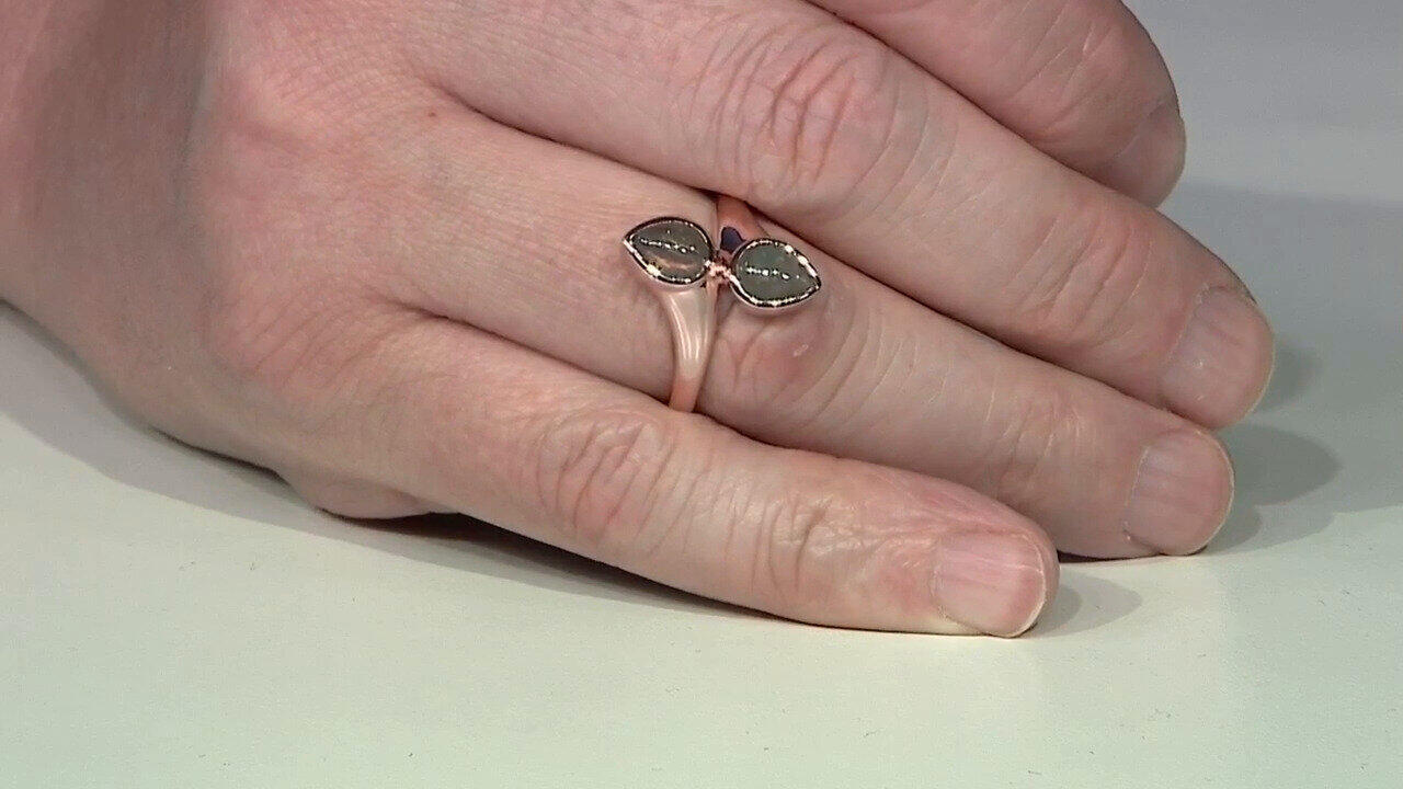 Laatste live aanbiedingen bekijken